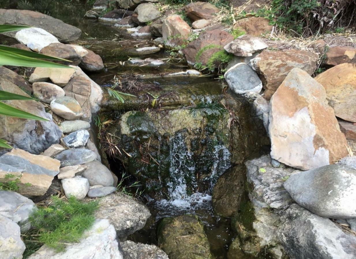 Jardines De Las Golondrinas Marbella Esterno foto